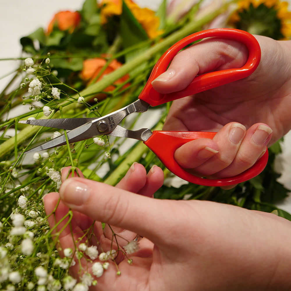Clauss 6.25’’ Trimmers Flexible Handles Sharp - 33303 - Available for Purchase