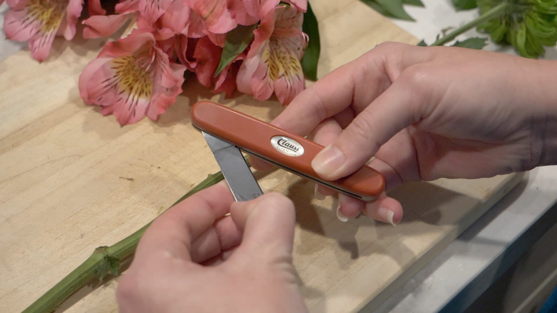 Clauss 6.5’’ Ti Folding Knife Straight - 18426 - Available for Purchase