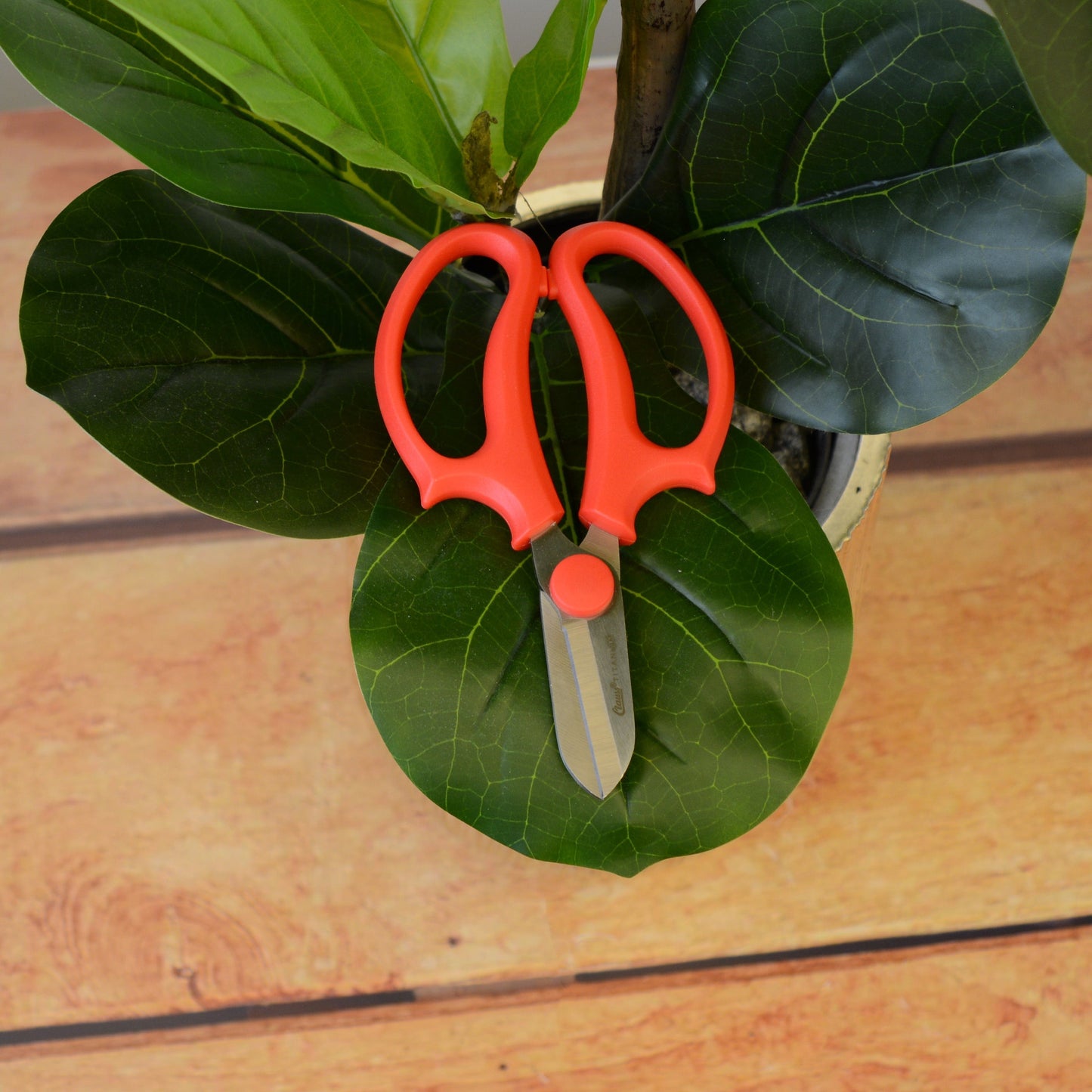 Clauss 6.5in Titanium Pruners Floral and Lawn & Garden