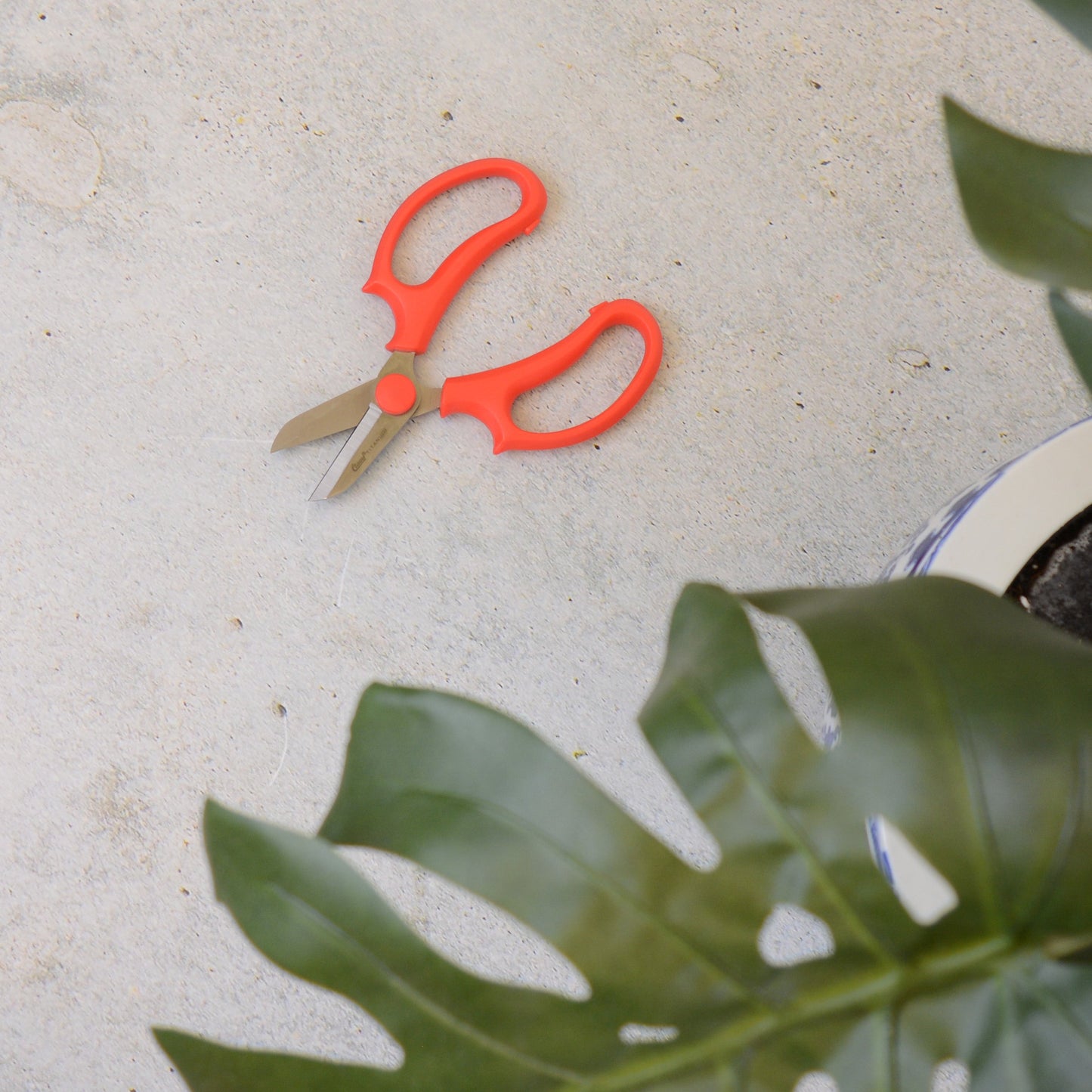 Clauss 6.5in Titanium Pruners Floral and Lawn & Garden