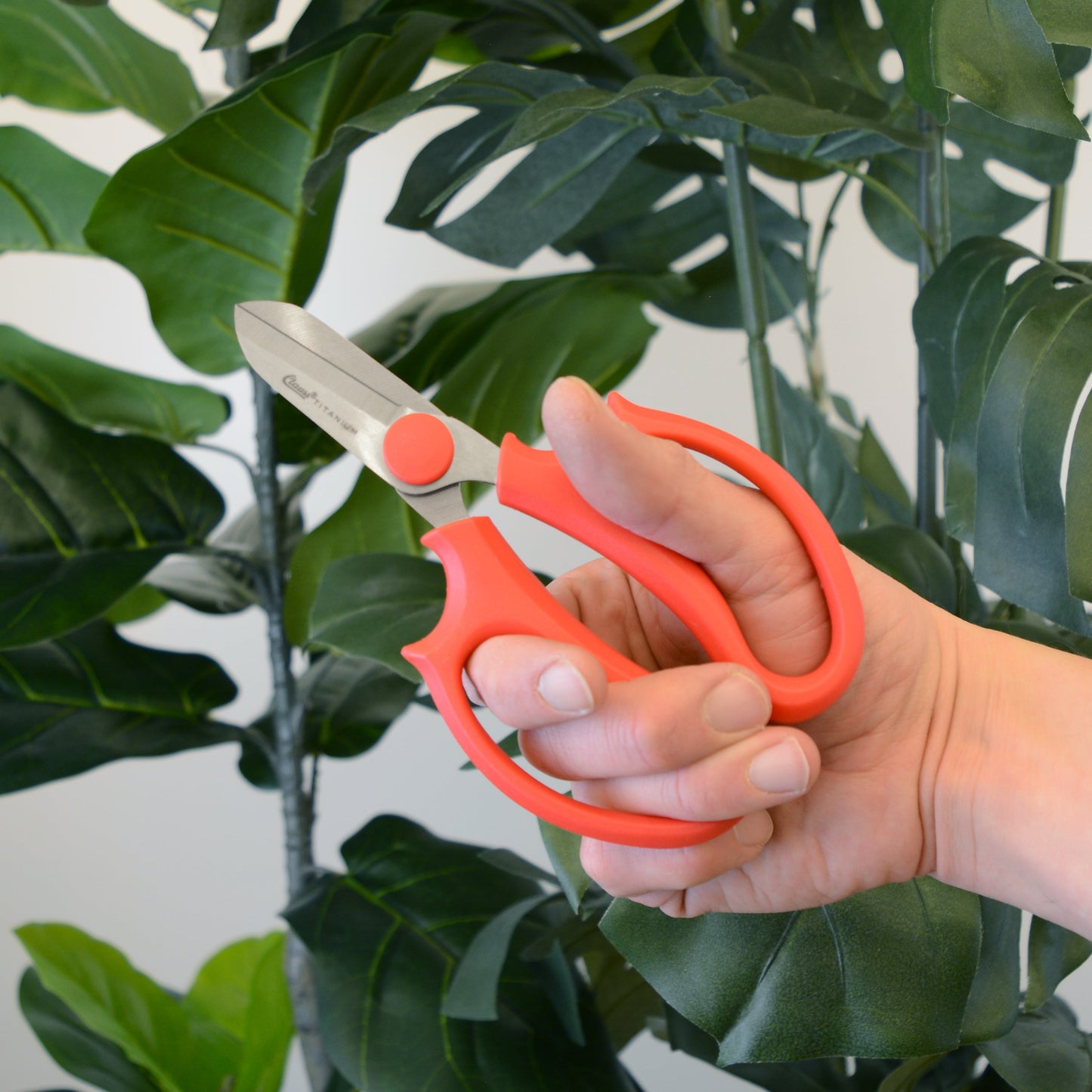 Clauss 6.5in Titanium Pruners Floral and Lawn & Garden