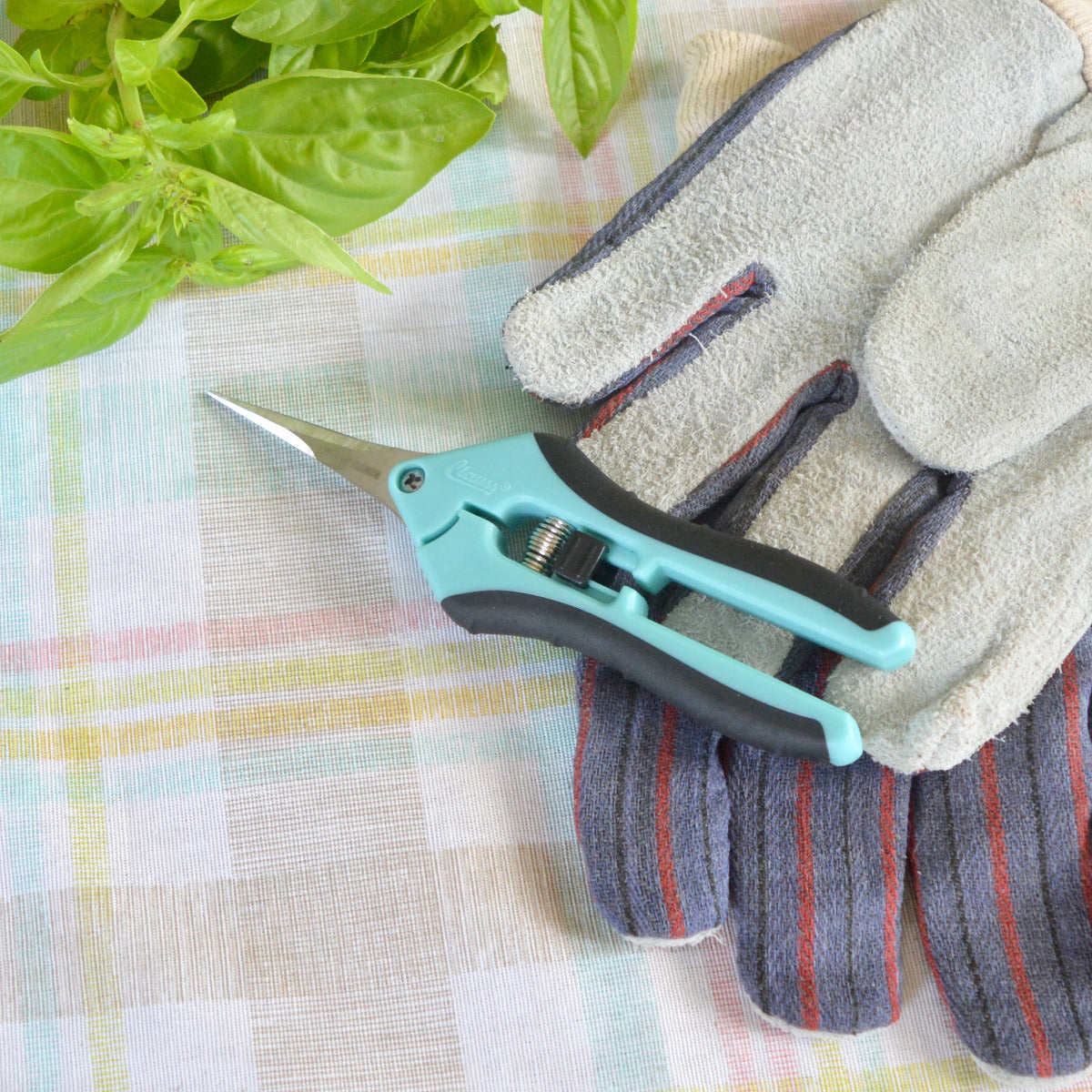 Clauss 6.75” Hydro Straight Titanium Bonded Non-Stick Spring-Assist Snips Blue - Hydroponic