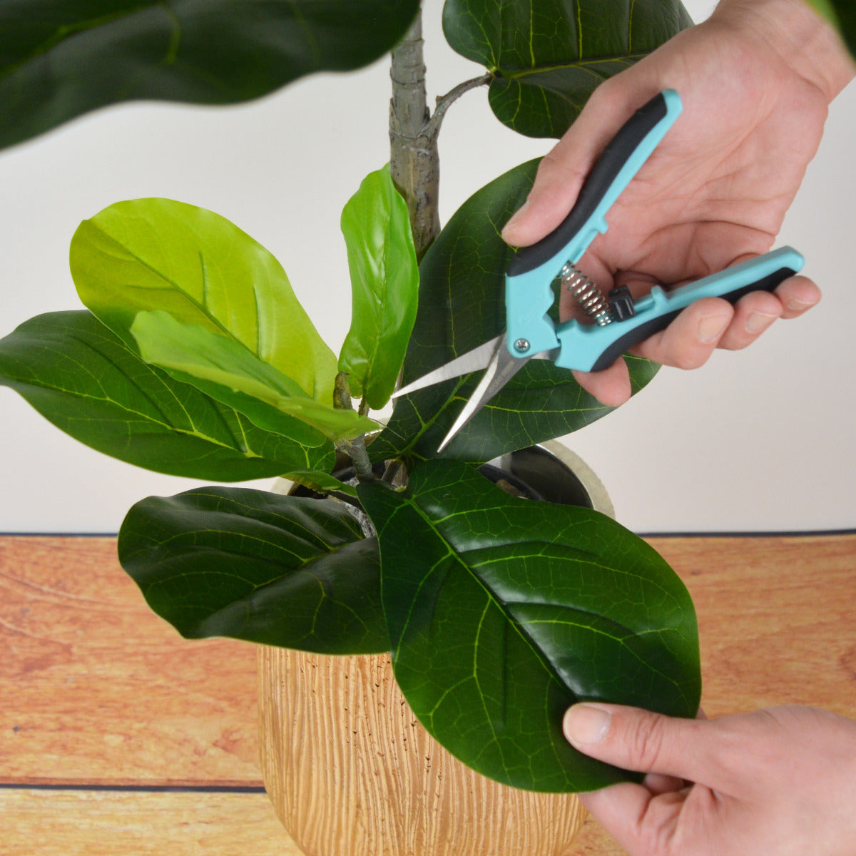 Clauss 6.75” Hydro Straight Titanium Bonded Non-Stick Spring-Assist Snips Blue - Hydroponic