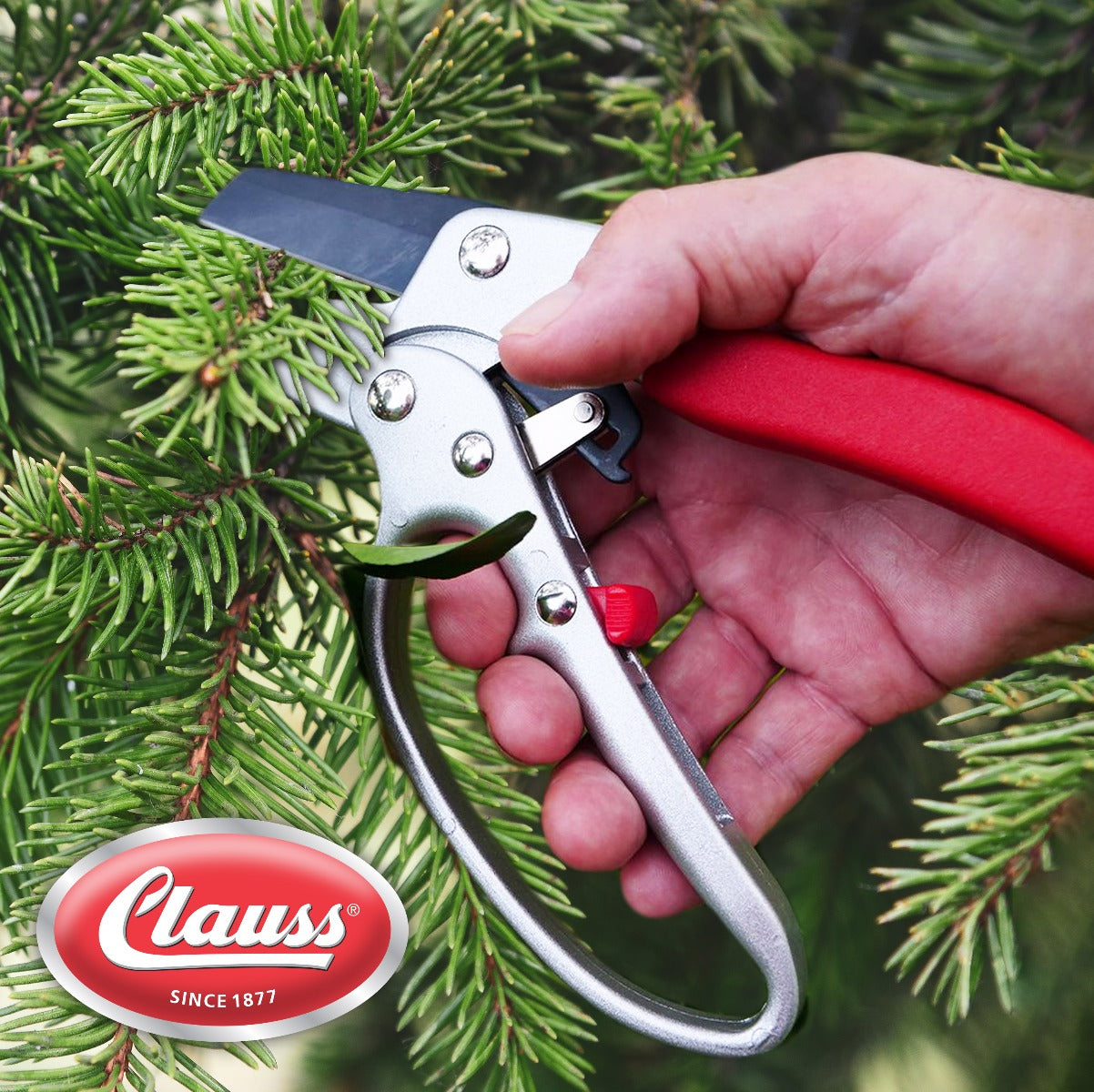 Clauss 8’’ Pruner - Heavy Duty Ratchet Action - 20133 - Available for Purchase