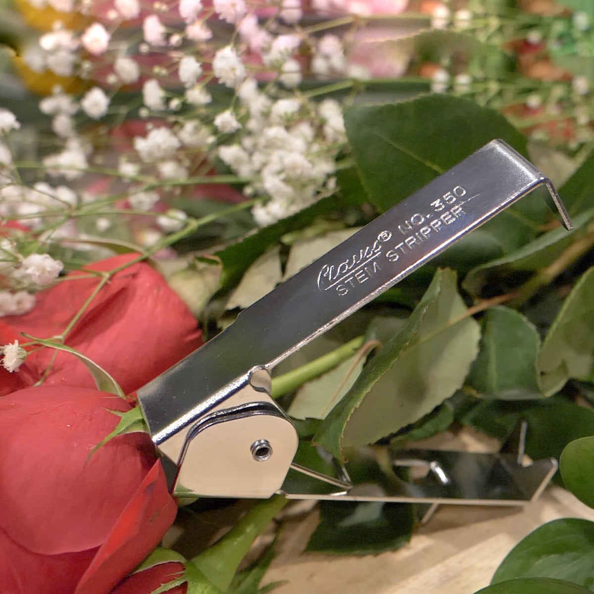 Clauss Rose Stripper - Value (Box of 12) - 300-35000 - Available for Purchase