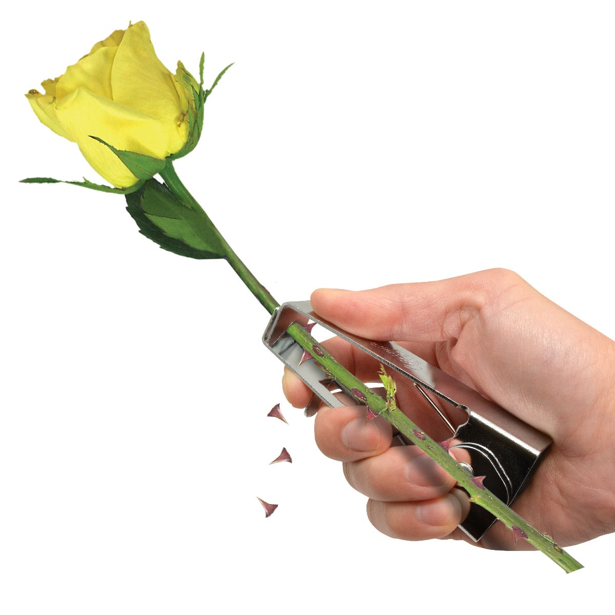 Clauss Rose Stripper - Value (Box of 12) - 300-35000 - Available for Purchase