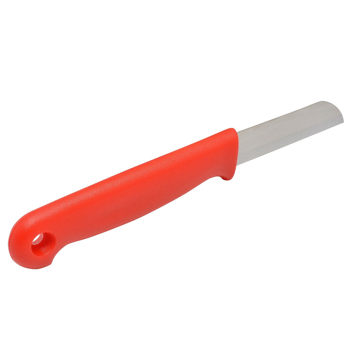 Clauss Stainless Steel Straight Knife Box of 10 - 18424 - Available for Purchase