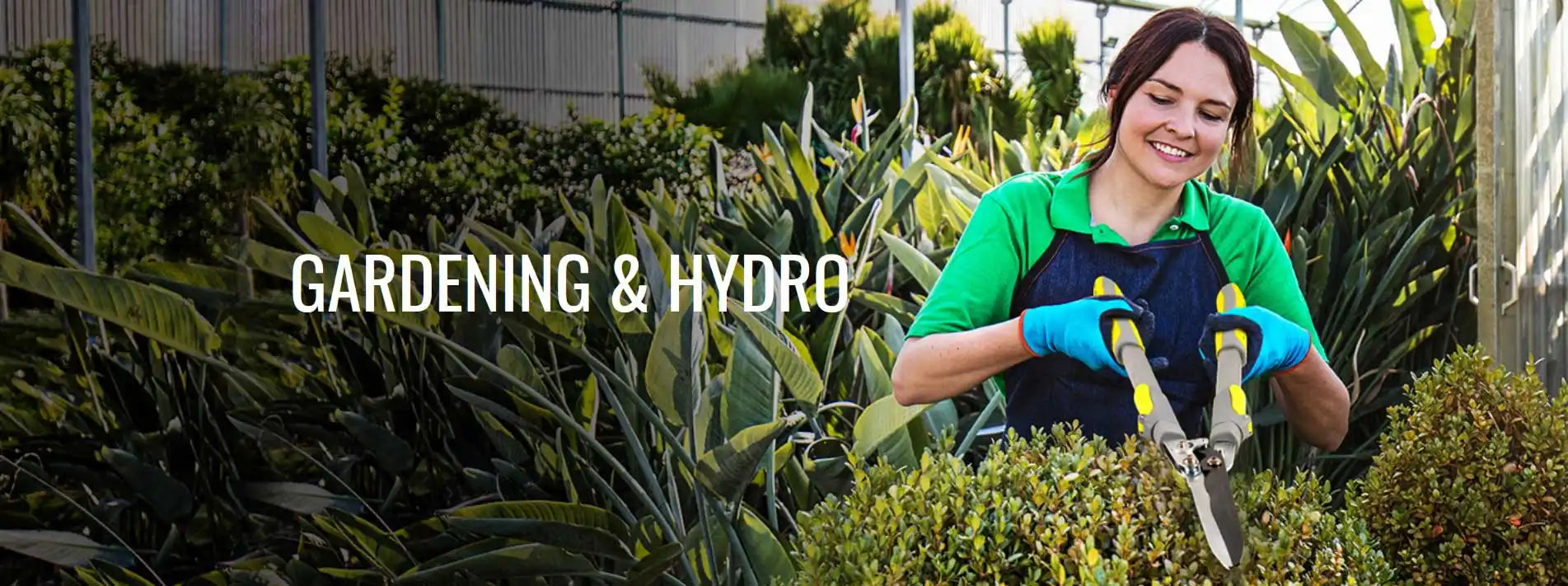 A gardener in a green shirt trimming bushes with pruning shears.