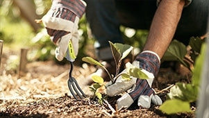 Gardening & Hydro