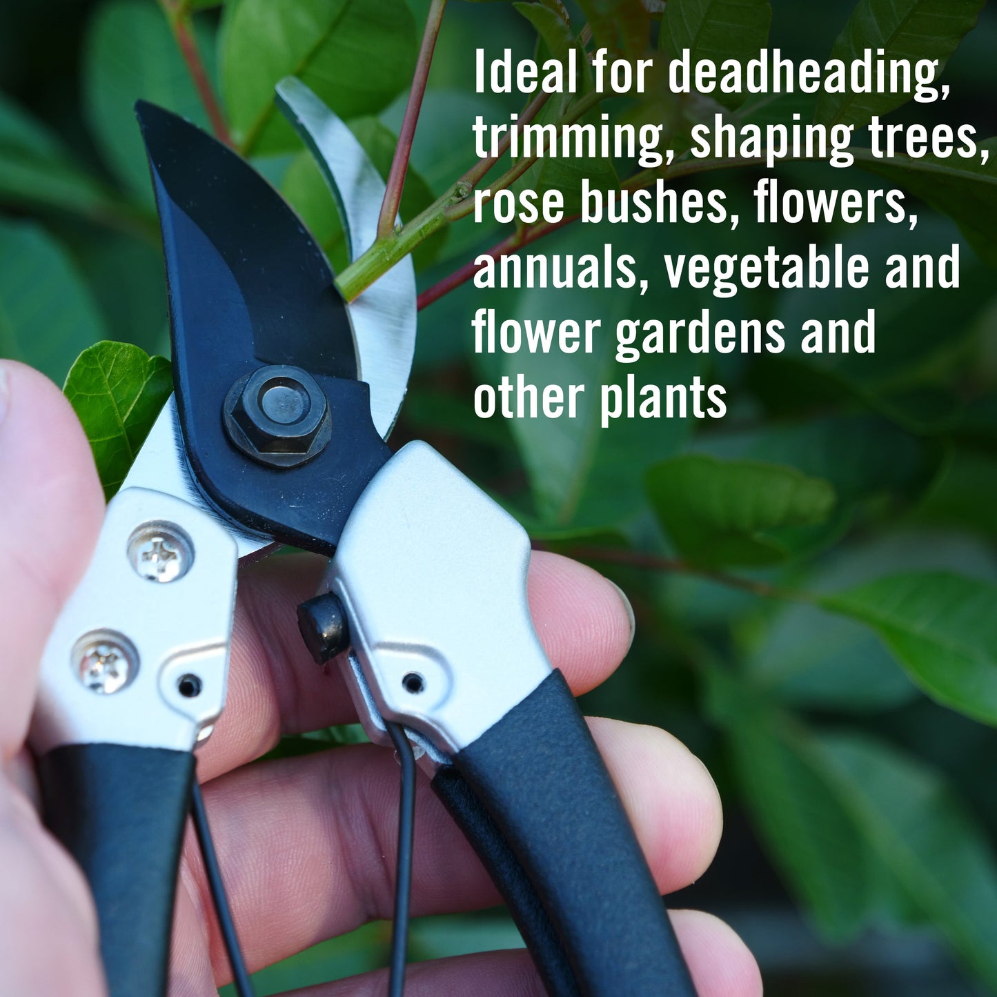 Clauss 7’’ Pruner - By-Pass Blade Heavy Duty - 20123 - Available for Purchase