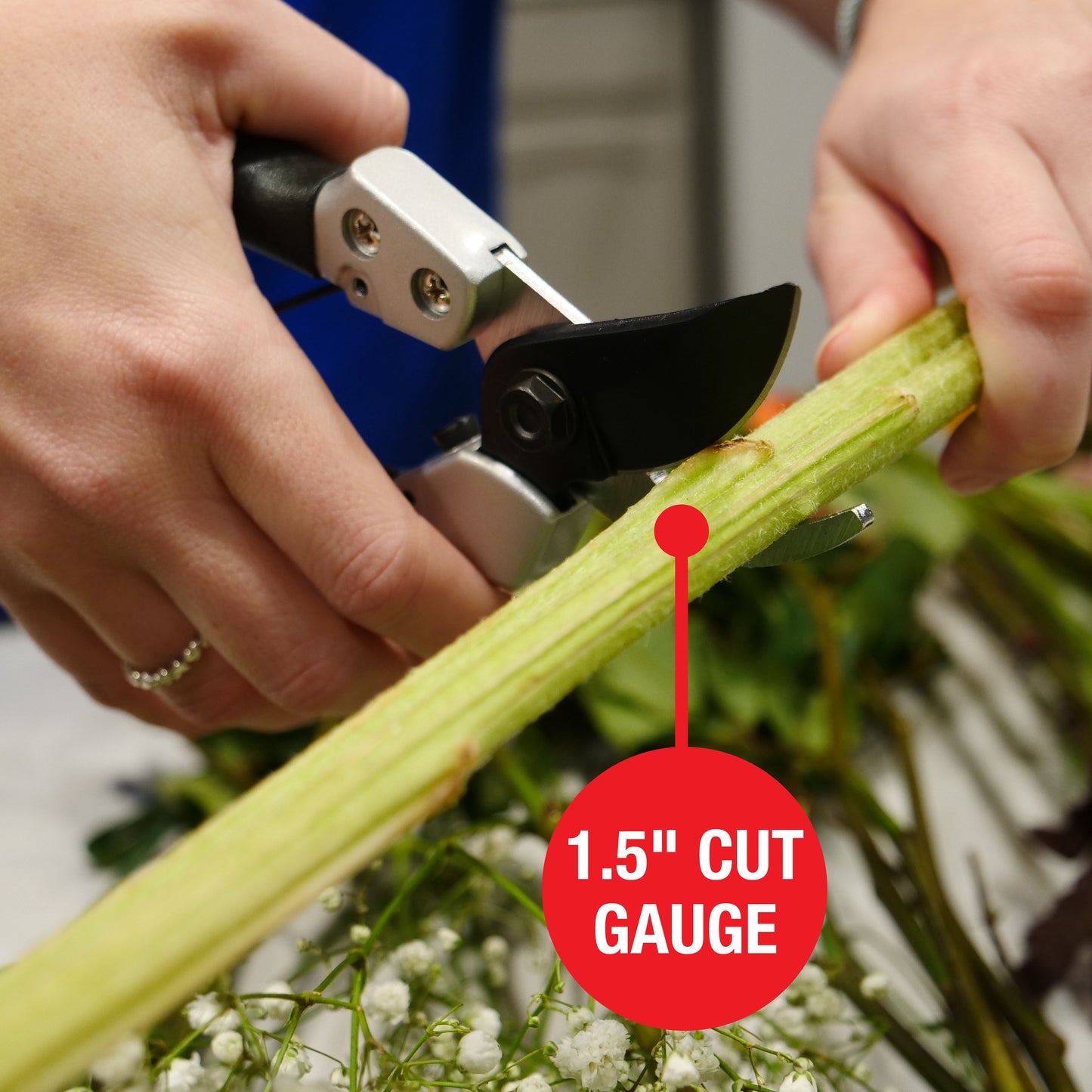 Clauss 7’’ Pruner - By-Pass Blade Heavy Duty - 20123 - Available for Purchase