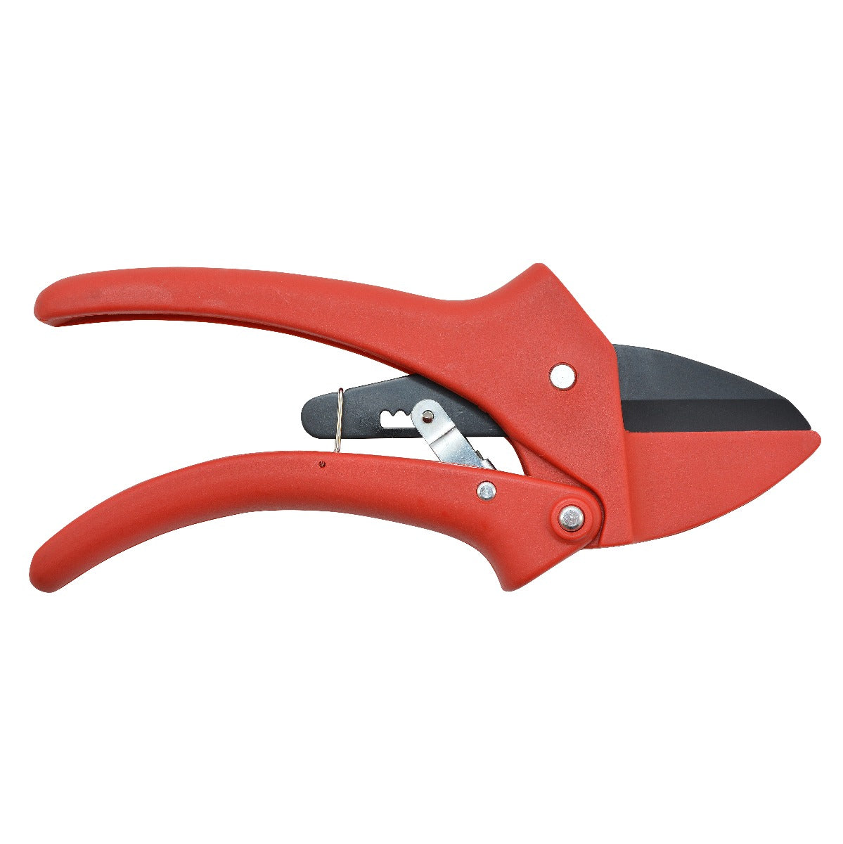 Clauss 7’’ Pruner - Ratchet Action - 20083 - Available for Purchase