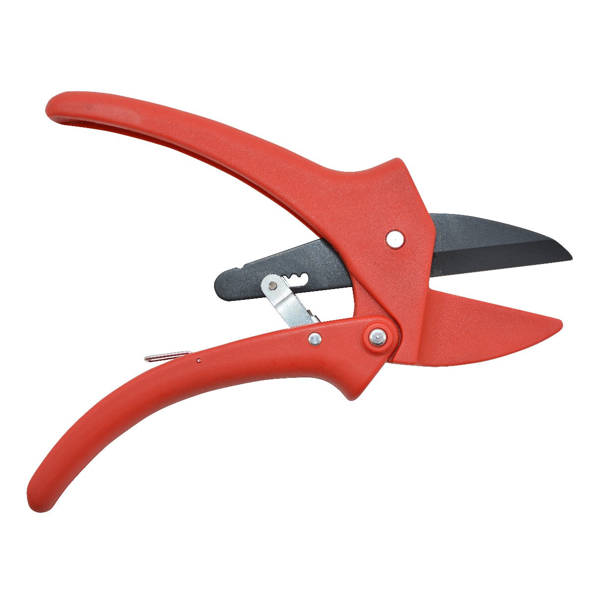 Clauss 7’’ Pruner - Ratchet Action - 20083 - Available for Purchase